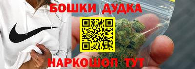 гашик Кинель