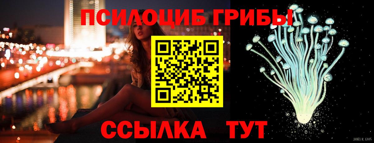 Клин  Галлюциногенные грибы мухоморы  Вход с VPN 